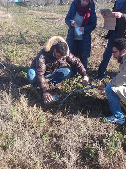 1003242_10205769705627197_5513283739072258627_n