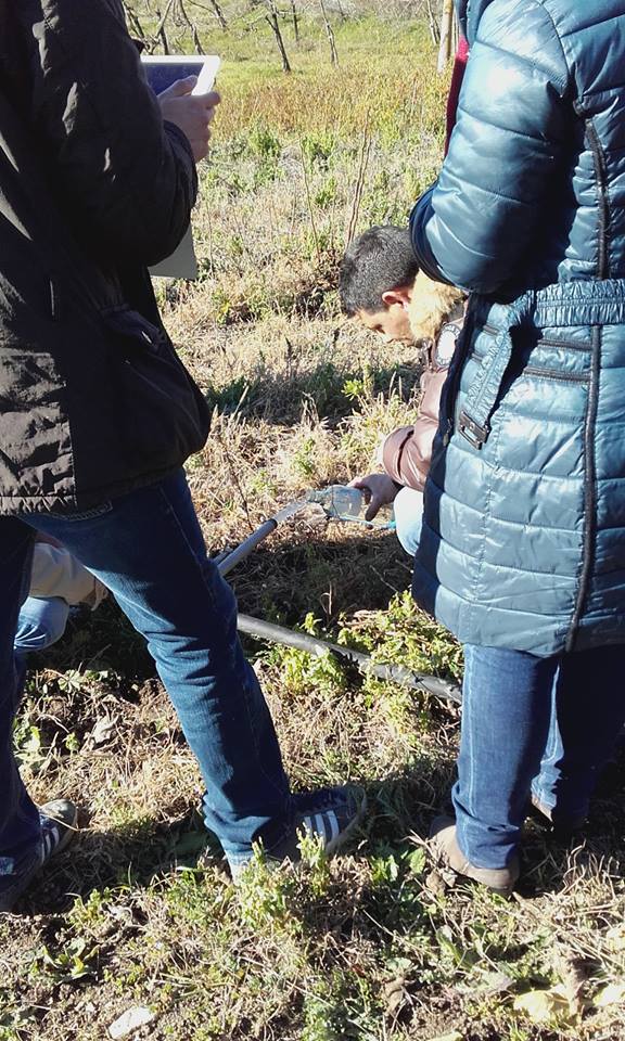 1888_10207224797810972_7689739956235448359_n